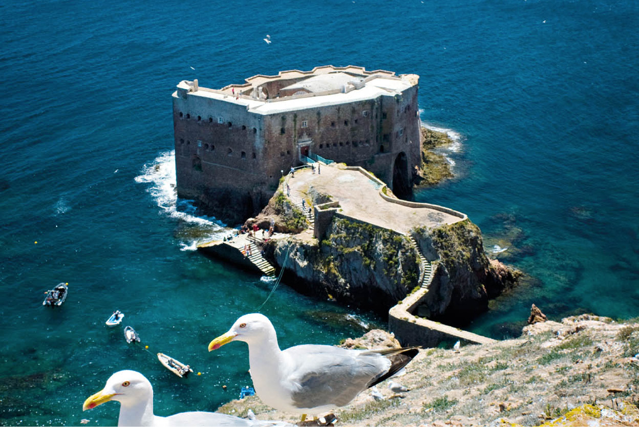 Reserva Natural das Berlenga This protected archipelago 10km 6 miles - photo 8