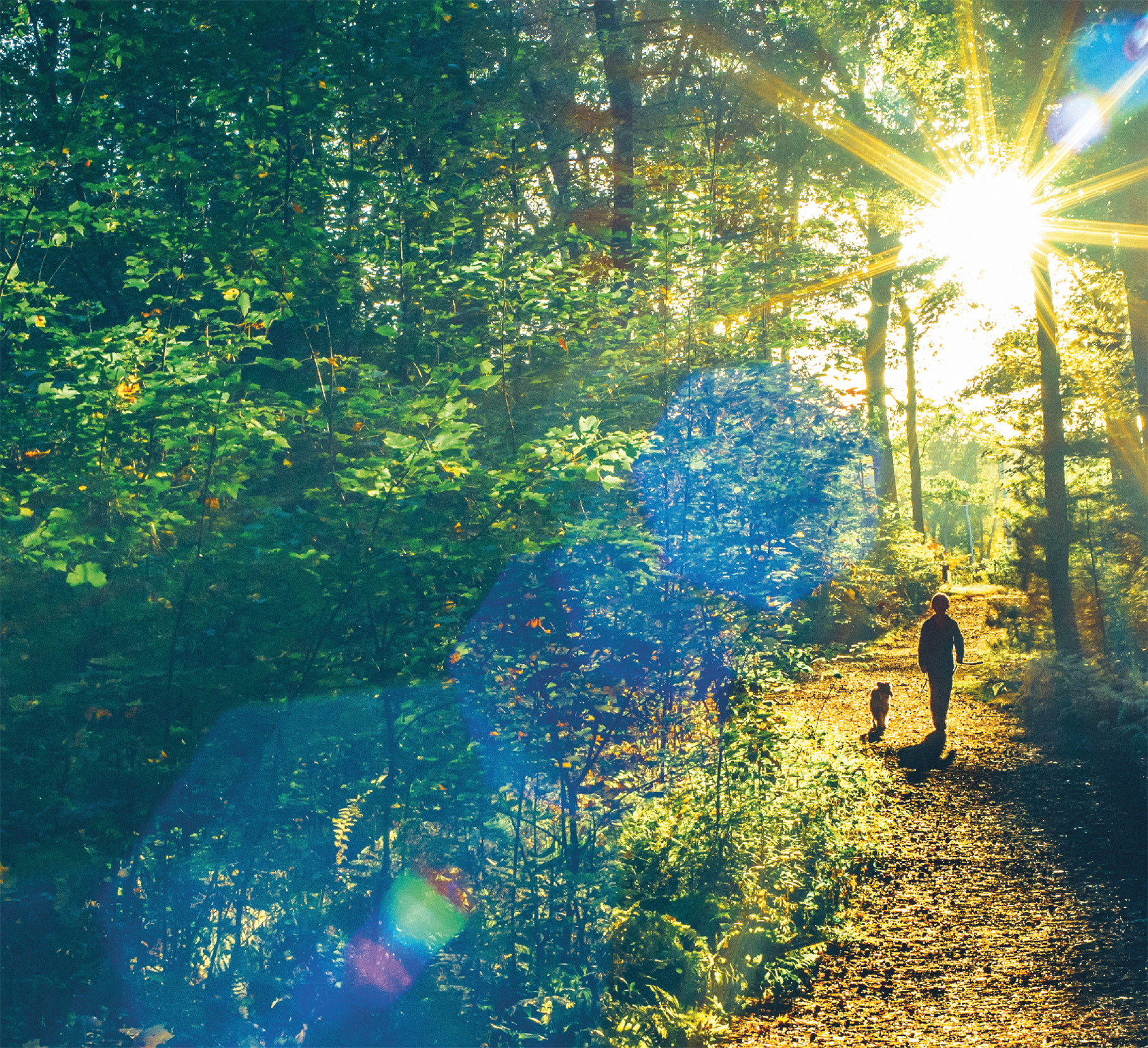 t New England holds a third of this epic mountain trail Some sections make - photo 10