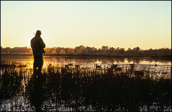 Beauty of the hunt 2008 P AT H AGAN US F ISH W ILDLIFE S ERVICE One good - photo 4