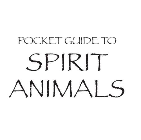 Other Hay House Products by Dr Steven Farmer Books Animal Spirit Guides - photo 3