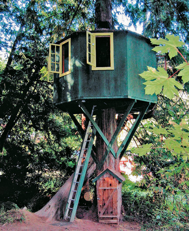 Treehouses and spaceships often share some design features contributing to the - photo 9