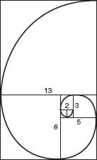 Fig 1 How the snail uses the Fibonacci numbers to grow its shell In this book - photo 2