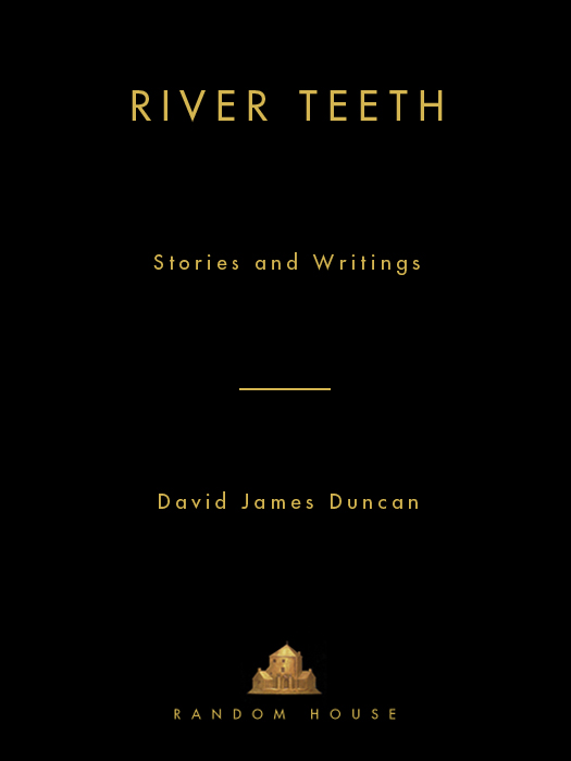 RIVER TEETH A Dial Press Trade Paperback Book PUBLISHING HISTORY Doubleday - photo 1