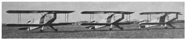 Bcker Jungmann trainers which were standard in the pre-World War II Luftwaffe - photo 3