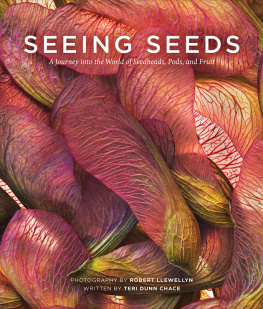 Dunn Chace Teri Seeing seeds: discover the unexpected beauty in seedheads, pods, and fruit