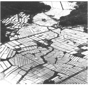 5 Flooded rice-fields with terracing on the left The wide straight roads - photo 3