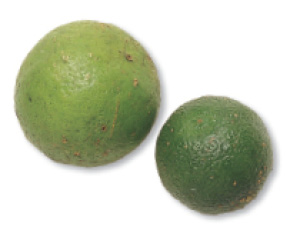 Calamansi limes are much smaller than regular limes They add an aromatic - photo 5