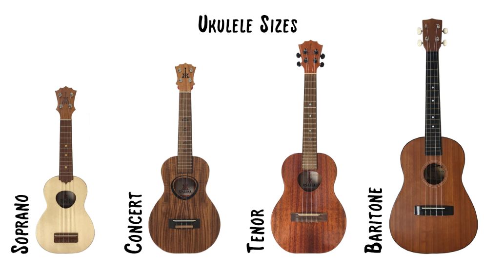 Here are the different ukuleles sizes in inches in and centimeters cm - photo 2