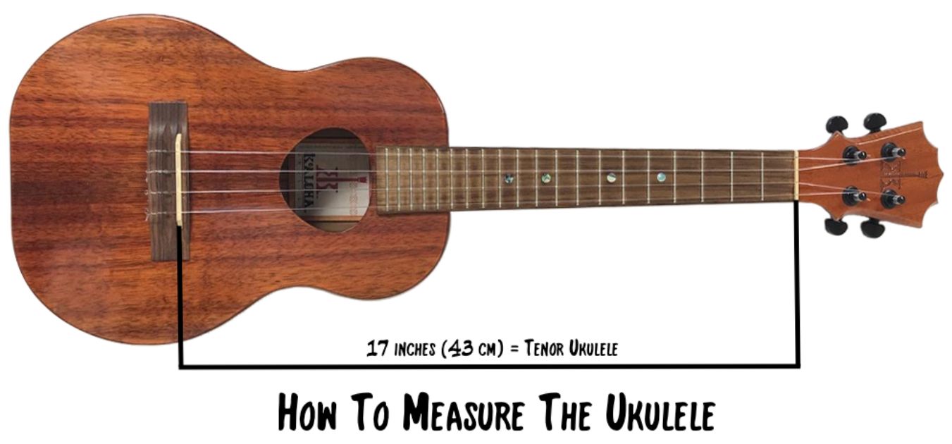 Soprano ukulele size is 13 in 33cm Concert ukulele size is 15 in 38 cm - photo 3