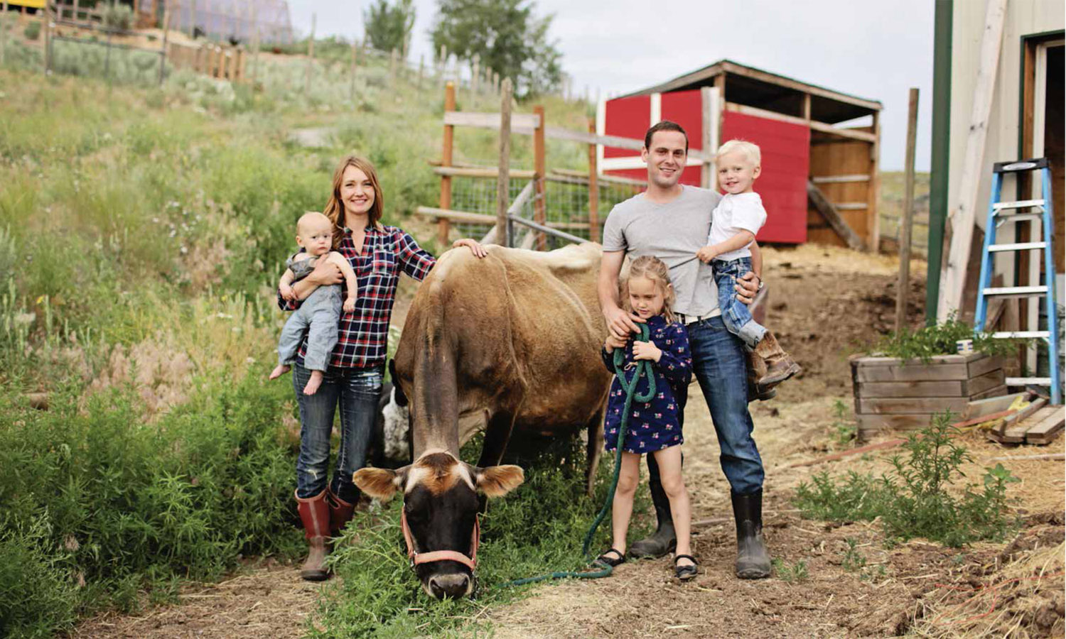 Benny was that steers name The steer that made me fall in love with bovines - photo 6