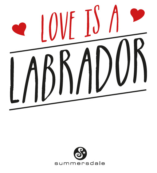 LOVE IS A LABRADOR Copyright Summersdale Publishers Ltd 2019 All rights - photo 2