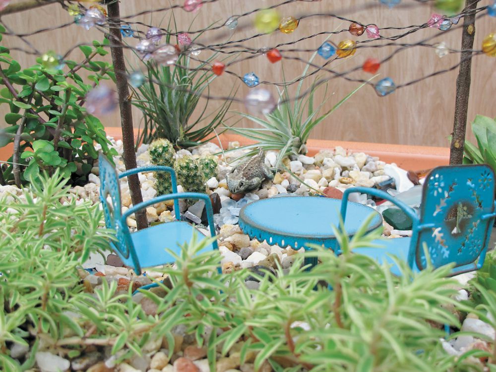 What is the most fun about miniature gardening The plants The accessories - photo 4