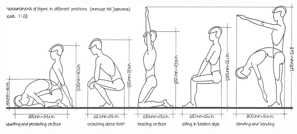 FIGURE 2 Space requirements of the Japanese figure in various postures 1 - photo 3