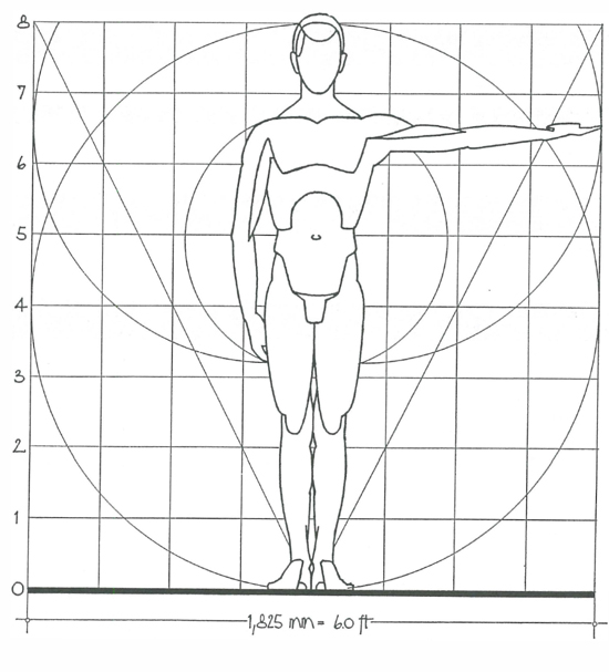 FIGURE 3 Comparison of standard human figures of Northern Europeans and - photo 5