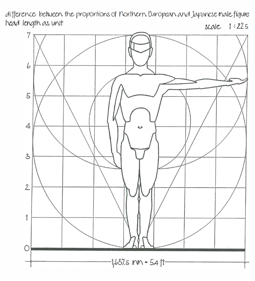 FIGURE 3 Comparison of standard human figures of Northern Europeans and - photo 6