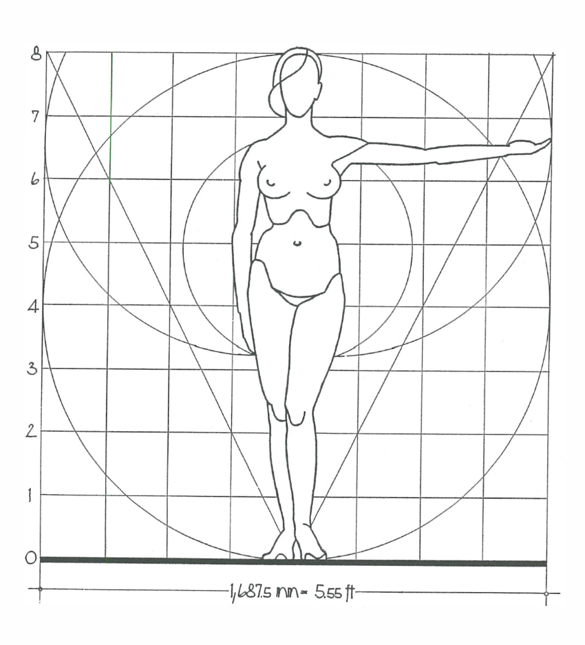 FIGURE 3 Comparison of standard human figures of Northern Europeans and - photo 7