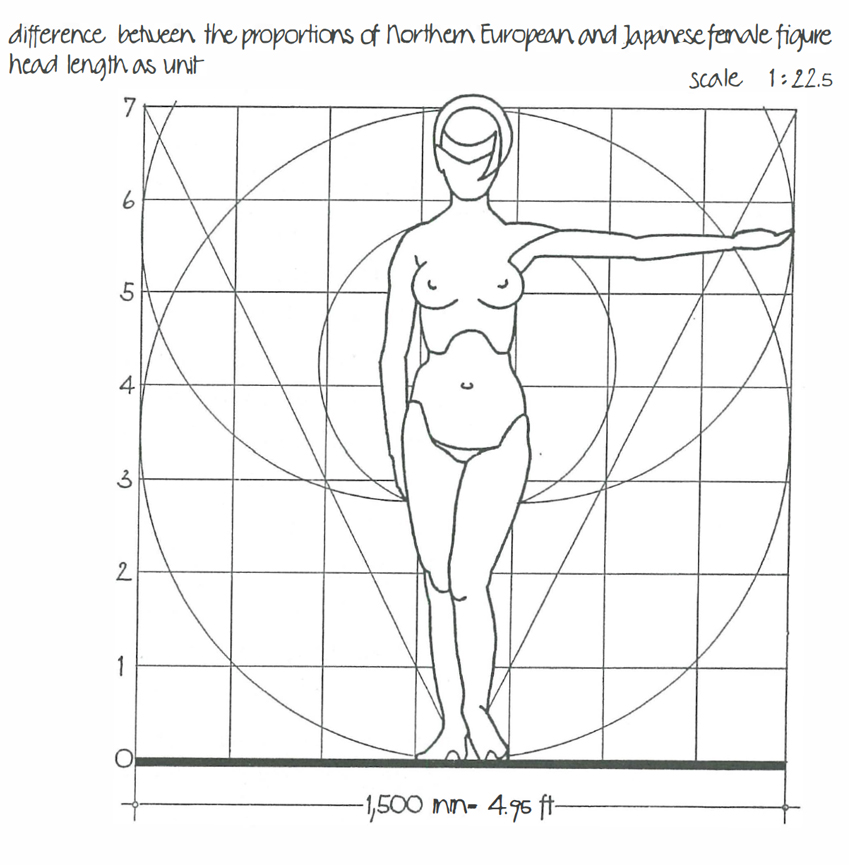 FIGURE 3 Comparison of standard human figures of Northern Europeans and - photo 8