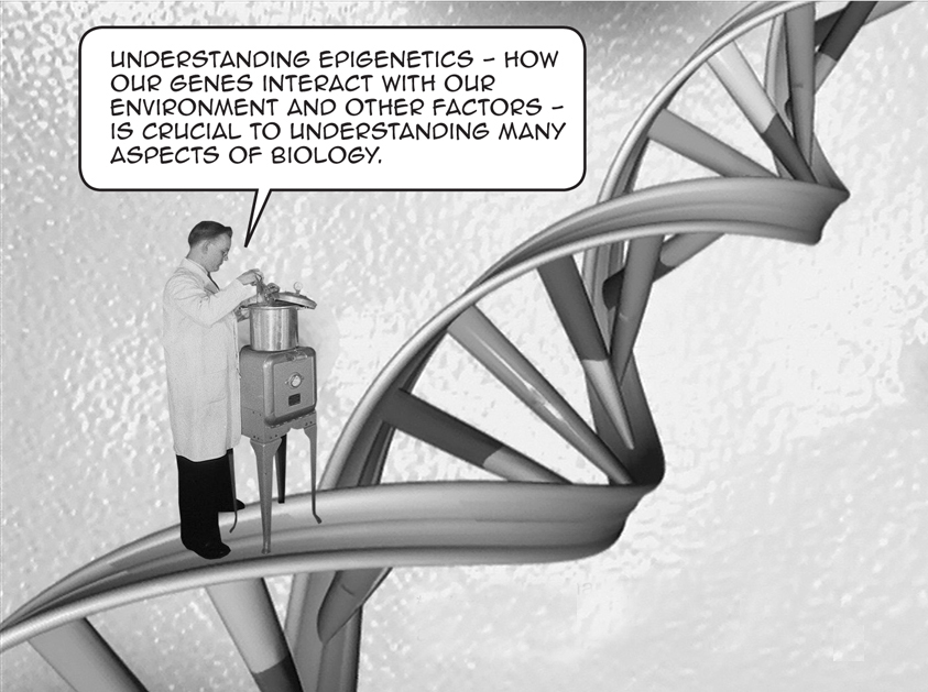 UNDERSTANDING EPIGENETICS HOW OUR GENES INTERACT WITH OUR ENVIRONMENT AND OTHER - photo 2