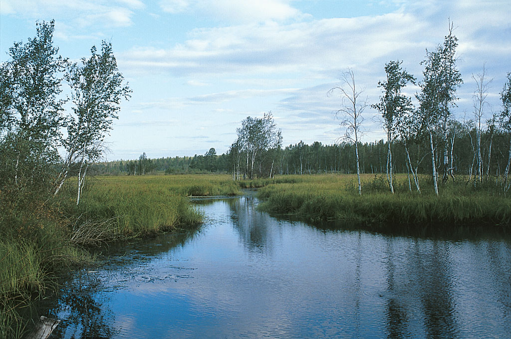 Swampy area in the region of Yakutsk I SIBERIA GEOGRAPHY AND HISTORY A AN - photo 2