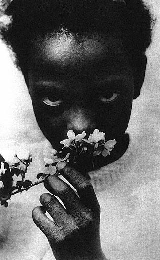 Photo by Consuclo Kanaga 18941978 Child with Apple Blossoms 1948 Brooklyn - photo 2