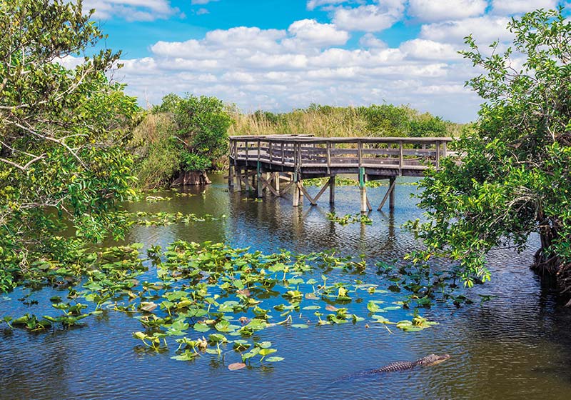 Everglades National Park This expansive and wild national park encompasses - photo 18