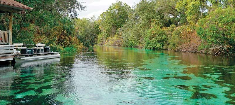 Freshwater Springs There are dozens of freshwater springs throughout Florida - photo 20