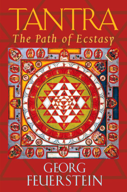 Feuerstein - Tantra: the path of ecstasy