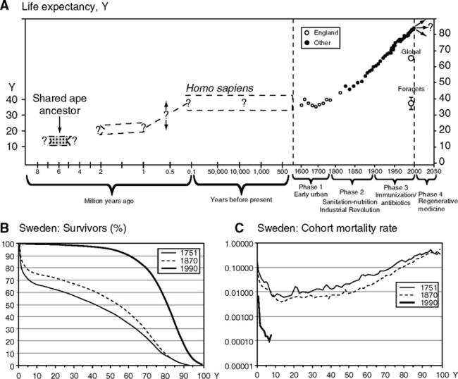 I propose that the growth of meat-eating and sedentism selected for gene - photo 2