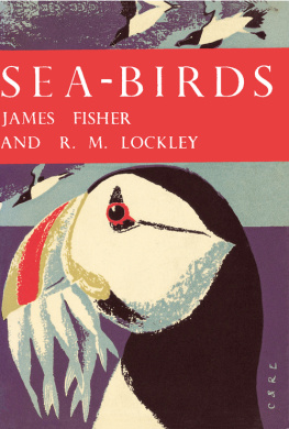 Fisher James - Sea-Birds