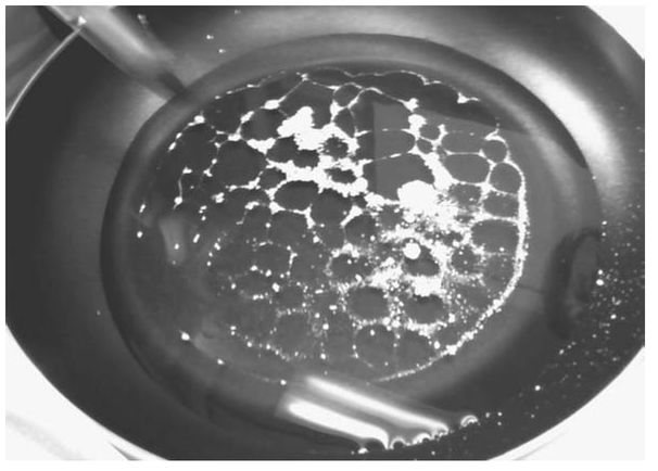 Pattern of Rayleigh-Bnard cells formed by convection in a layer of oil in a - photo 3