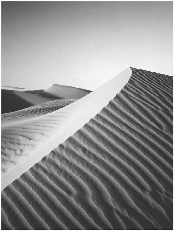 Stripes in the Algodones sand dunes of Southern California formed by a - photo 7