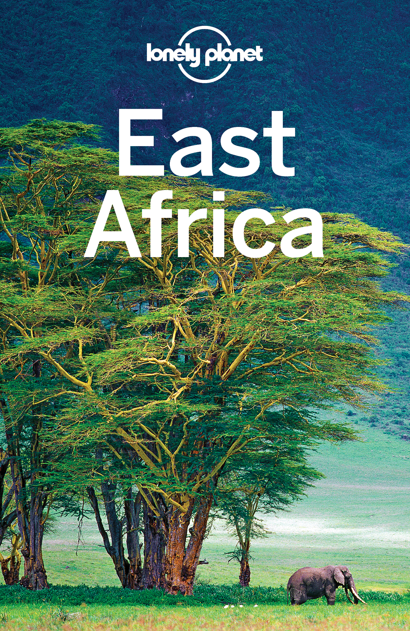 East Africa Travel Guide - image 1