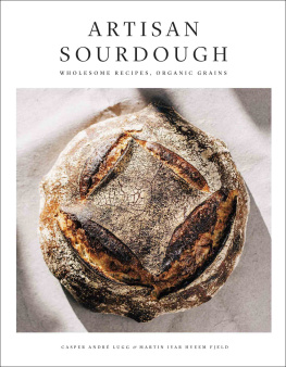 Fjeld Martin Ivar Hveem Artisan sourdough: wholesome recipes, organic grains