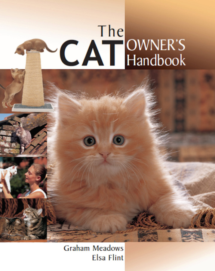 THE CAT OWNERS HANDBOOK The hunting instinct of your pet cat lies just - photo 1