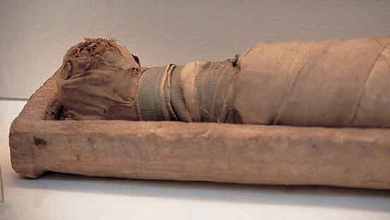 Cats were worshipped in ancient Egypt and many were mummified to accompany - photo 11