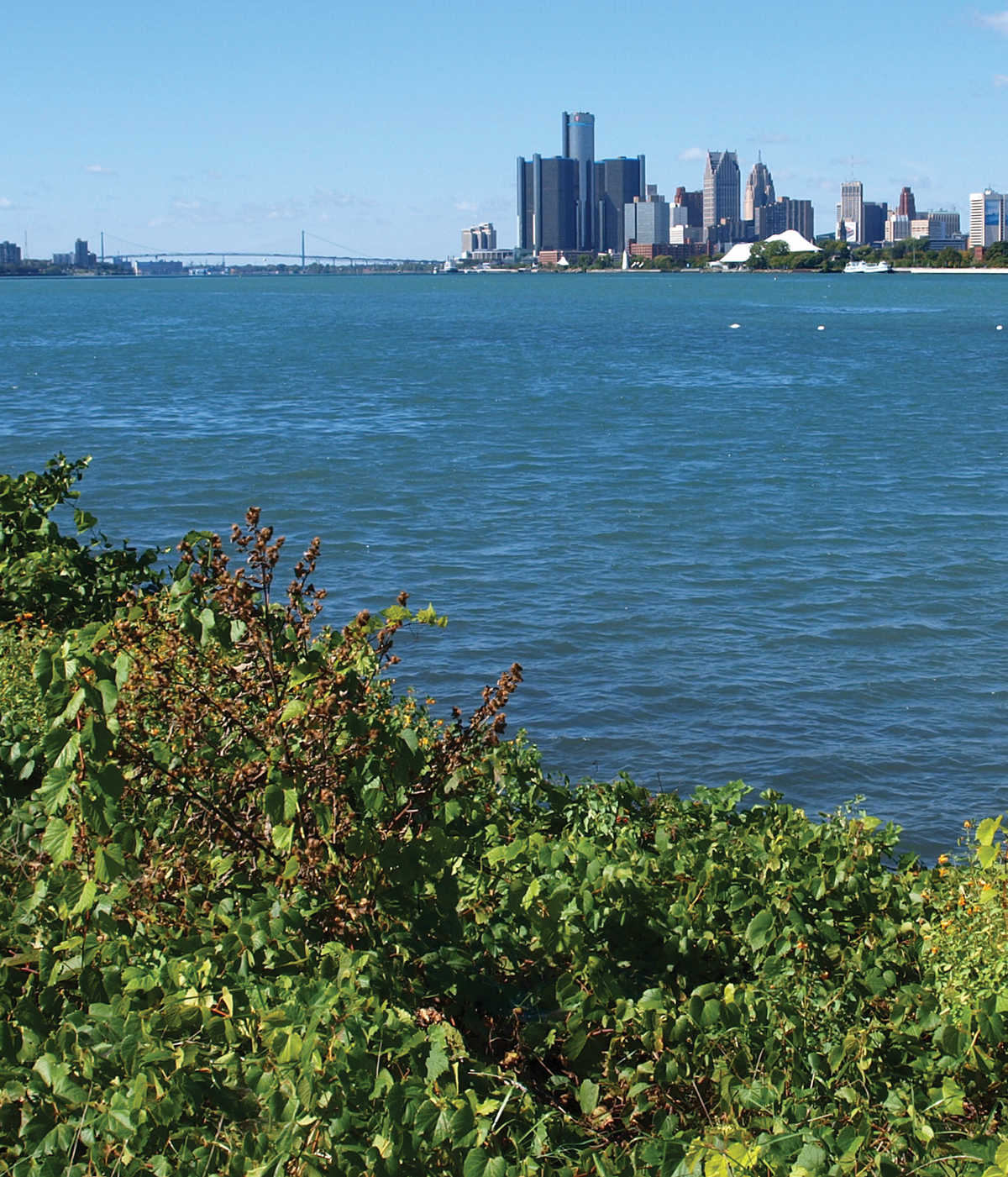 THE VIEW OF DETROIT FROM BELLE ISLE PHOTO BY K IM FORSTER Si quaeris - photo 4