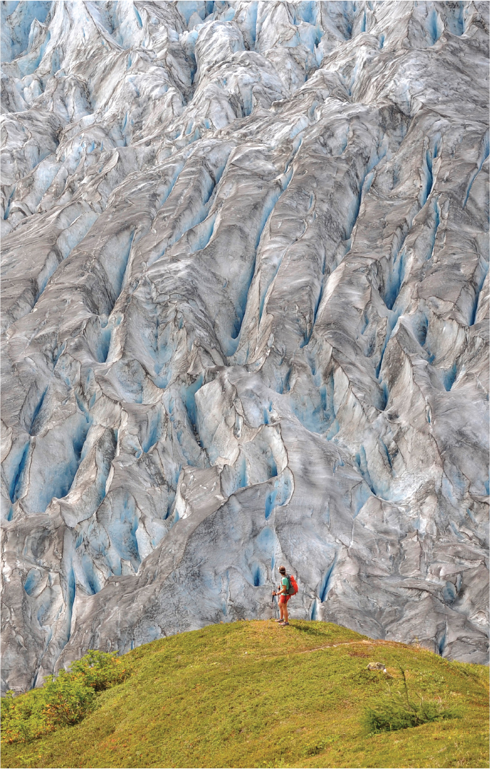 The 4-mile Harding Icefield Trail winds through forest and meadows and climbs - photo 7