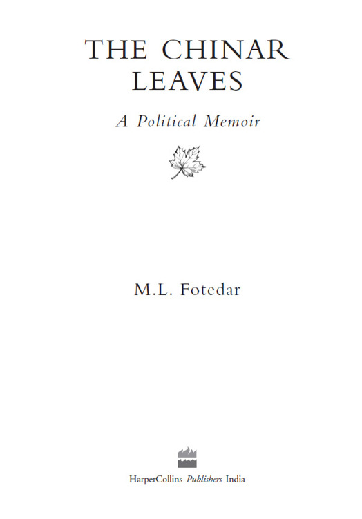 The chinar leaves a political memoir - image 1