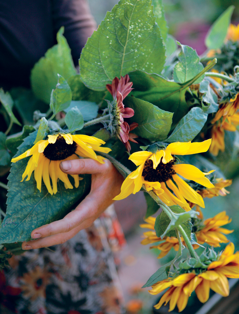 CONTENTS About the Book Call is floral food edible landscaping ornamental - photo 1