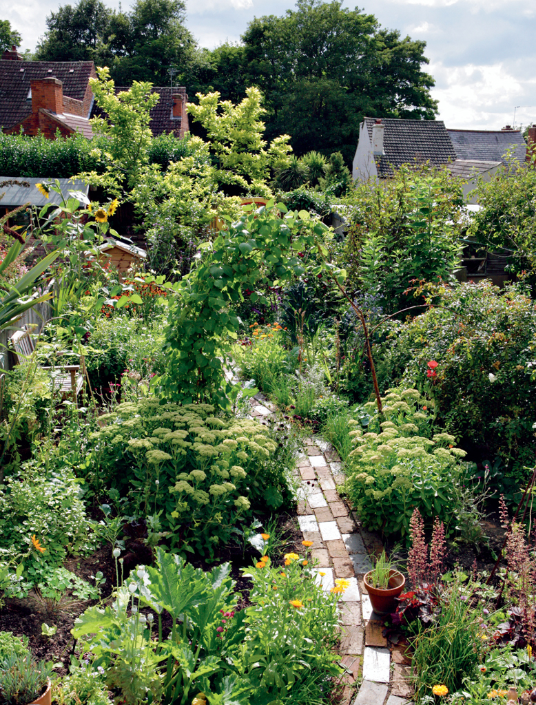 POLYCULTURE Growing more than one species or variety of vegetable together is - photo 5