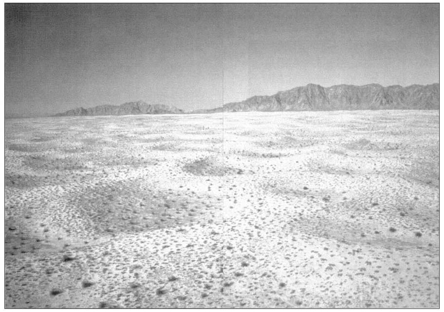 The forlorn sweep of the Mohawk Sand Dunes is a death trap that has claimed the - photo 6