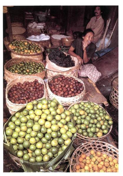 Fruit stalls at the market in Sukawati Introduction Shopping for some of - photo 7