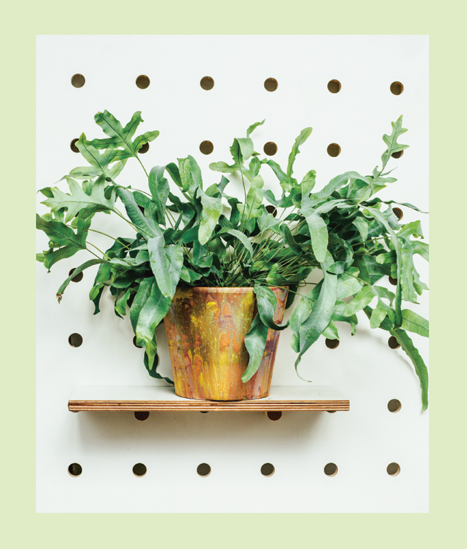 You can use a new or old terracotta plant pot for this How To but I find that - photo 8