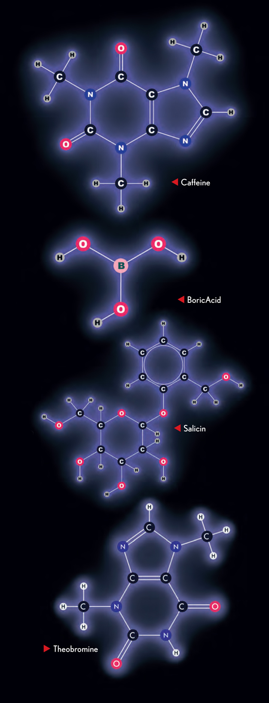 Molecules the elements and the architecture of everything - image 5