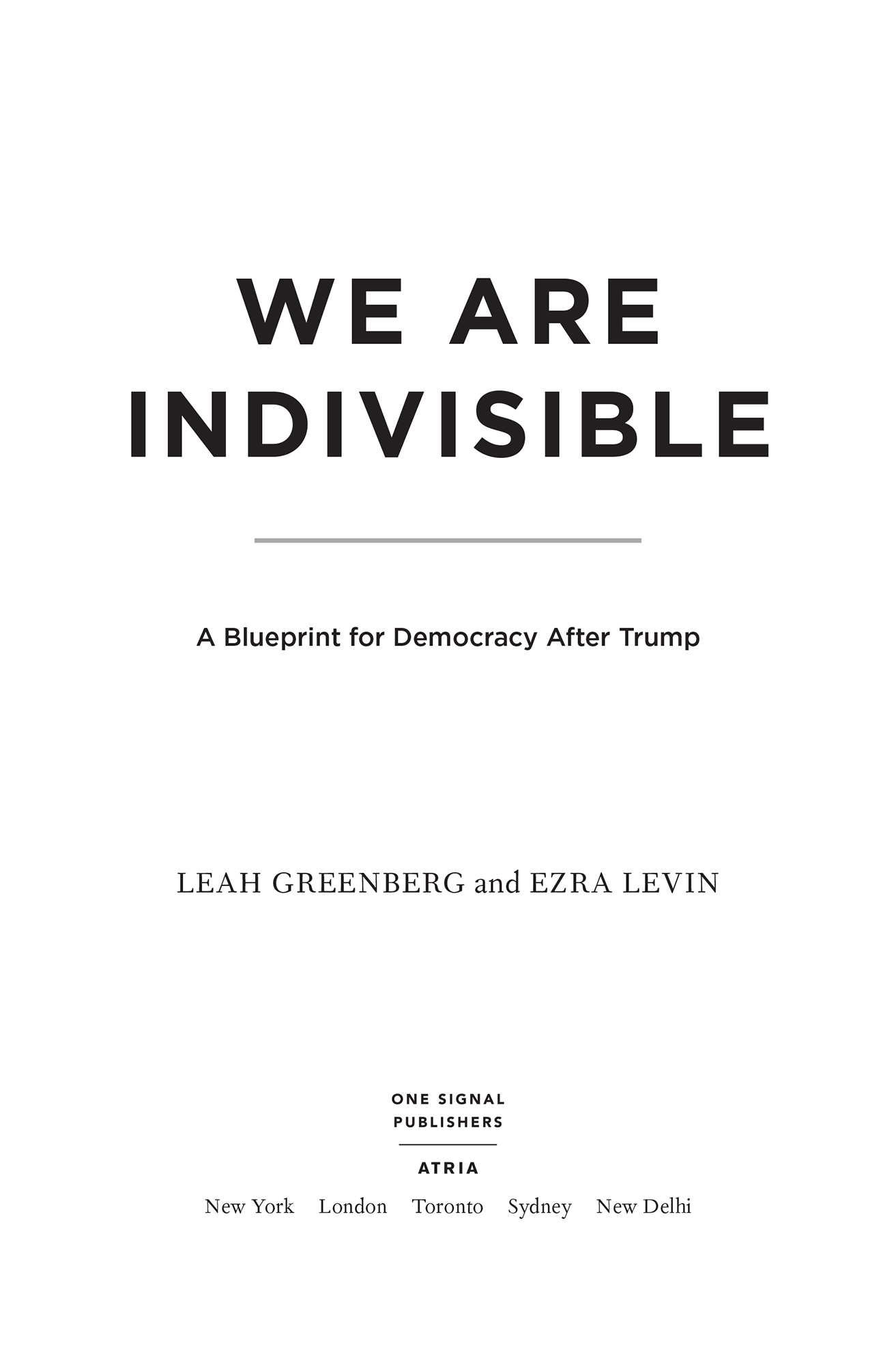 We Are Indivisible A Blueprint for Democracy After Trump - image 2