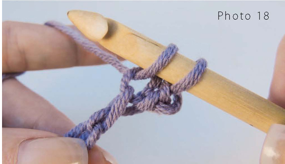 Continue pulling up loops in the same manner until the hook is full but loops - photo 18