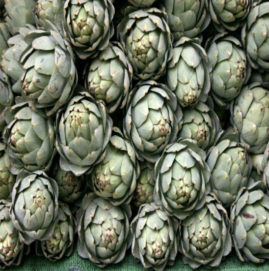 Artichokes Cassis Cheese Shop in Tuscany - photo 14