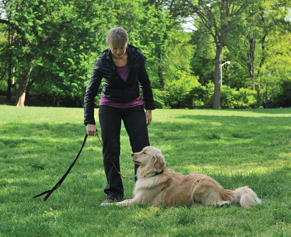 TRAINING YOUR DOG TO ACT LIKE A PRINCE OR PRINCESS This all sounds so - photo 10