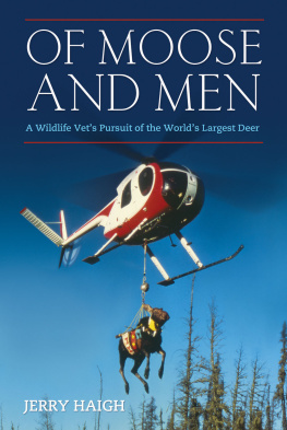 Haigh - Of moose and men: a wildlife vets pursuit of the worlds largest deer