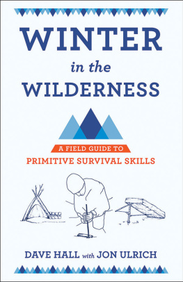Hall Dave Winter in the wilderness: a field guide to primitive survival skills